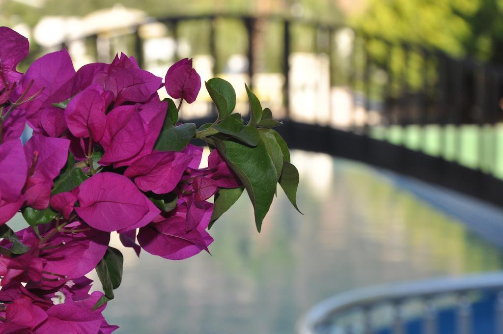 Ale Suite Hotel Torba Exterior photo